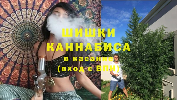 ешки Вяземский