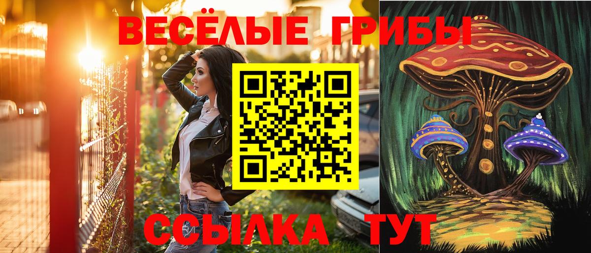 Псилоцибиновые грибы GOLDEN TEACHER Заводоуковск