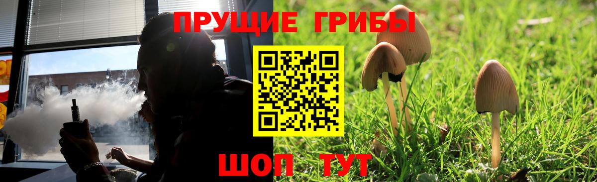 даркнет сайт  Галлюциногенные грибы ЛСД  Вход с VPN  Галлюциногенные грибы GOLDEN TEACHER  Заводоуковск 
