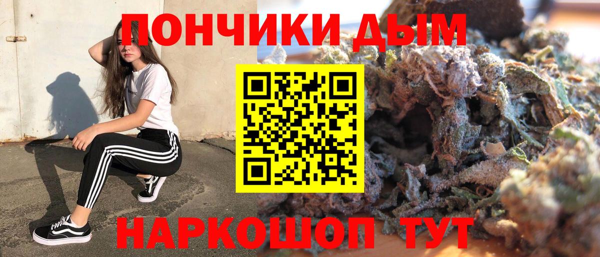 Заводоуковск  Бошки Шишки планчик  Вход с VPN  Канабис Amnesia 